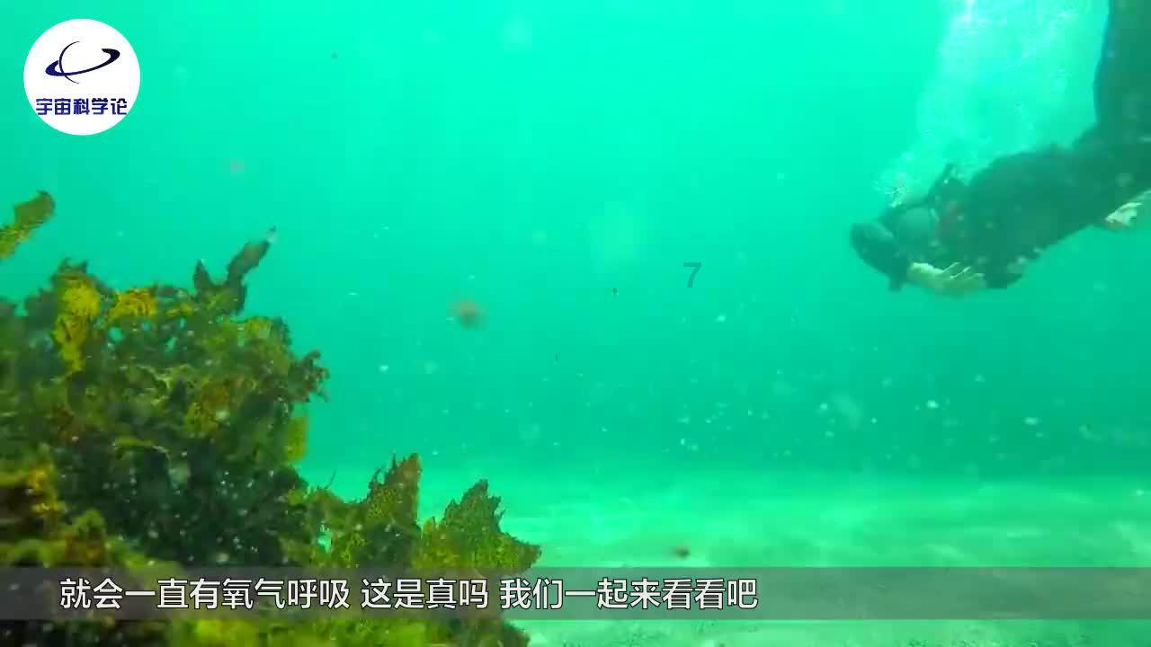 去哪办花卉栽培师证 花卉栽培师证要多少钱
